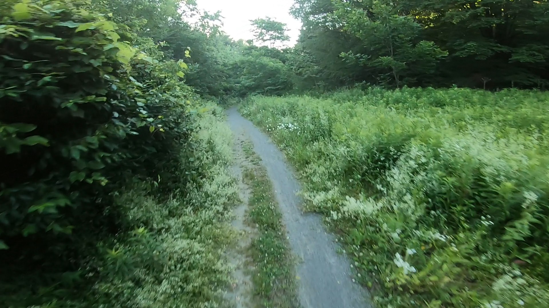 A nice dirt trail