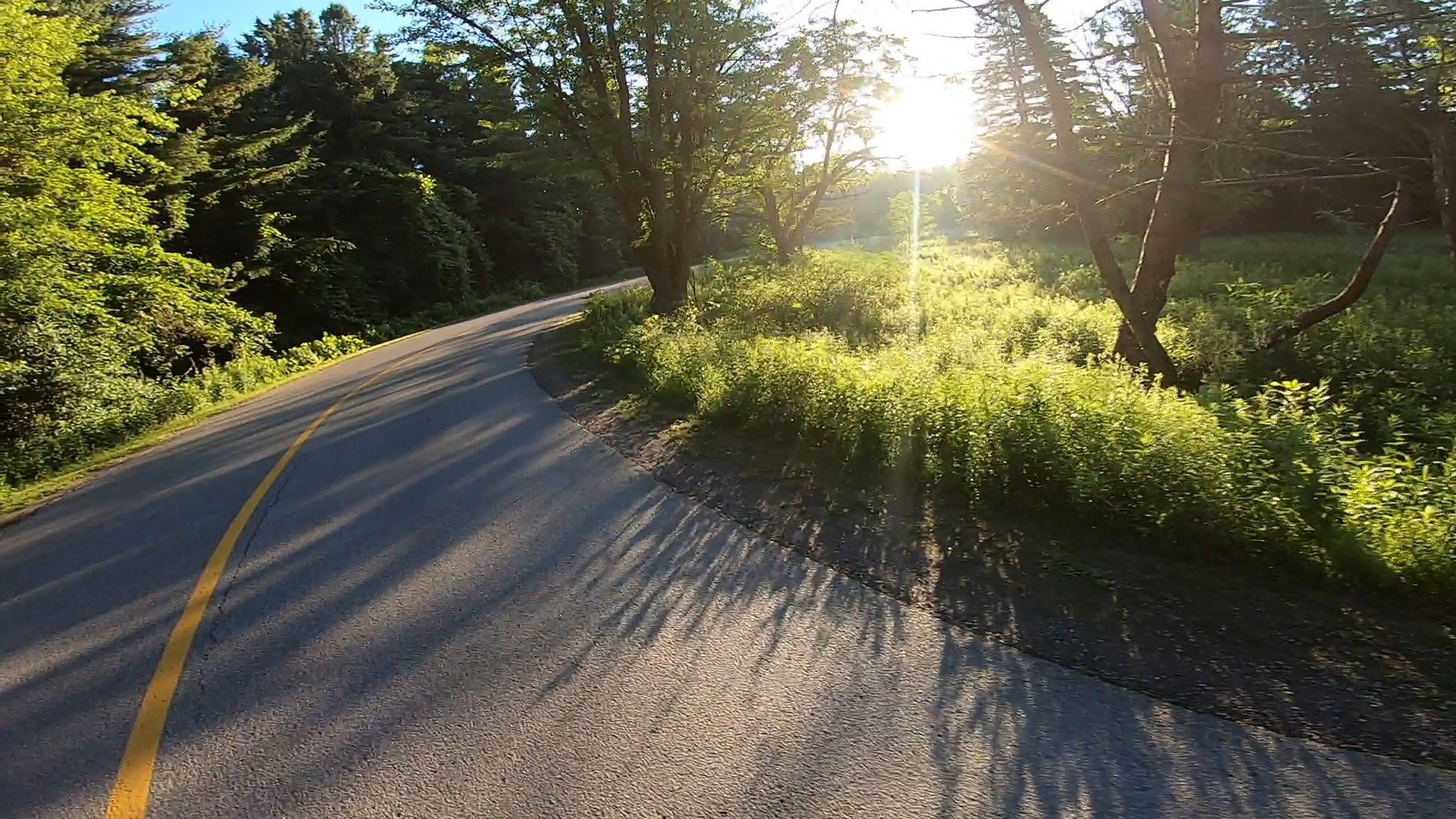 A nice paved trail