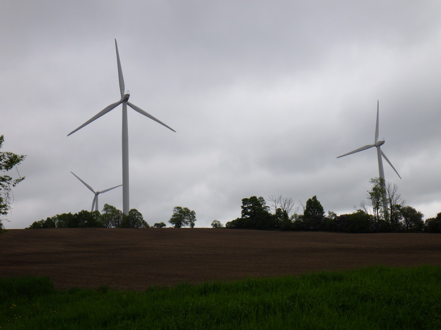 Wind turbines up by highway 115